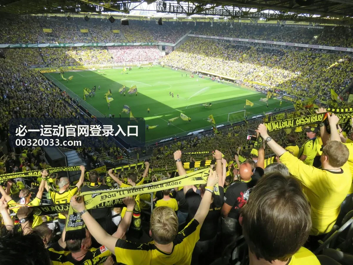 必一运动官网登录入口登录步骤核对示意