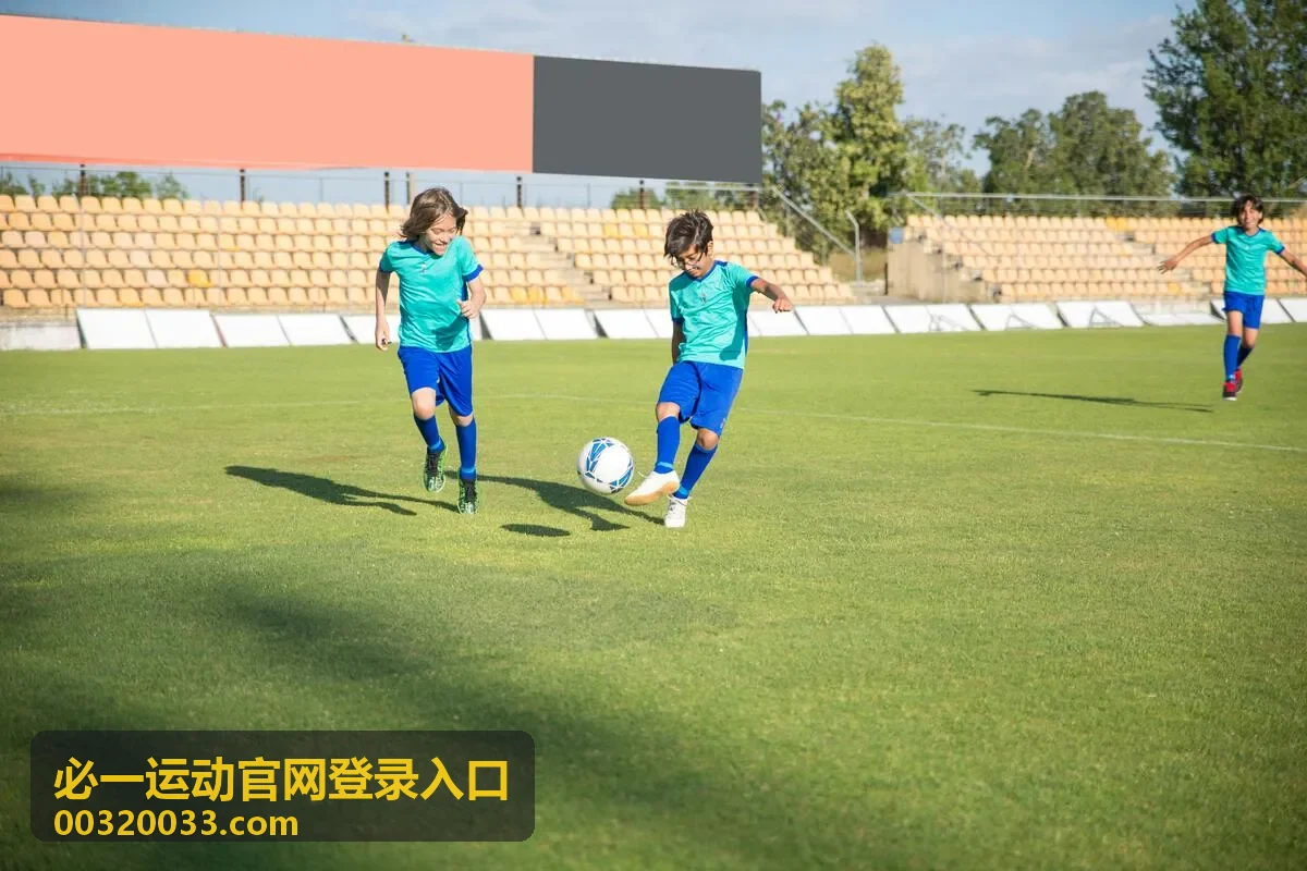 必一运动官网登录入口账号安全设置中的异常登录排查示意