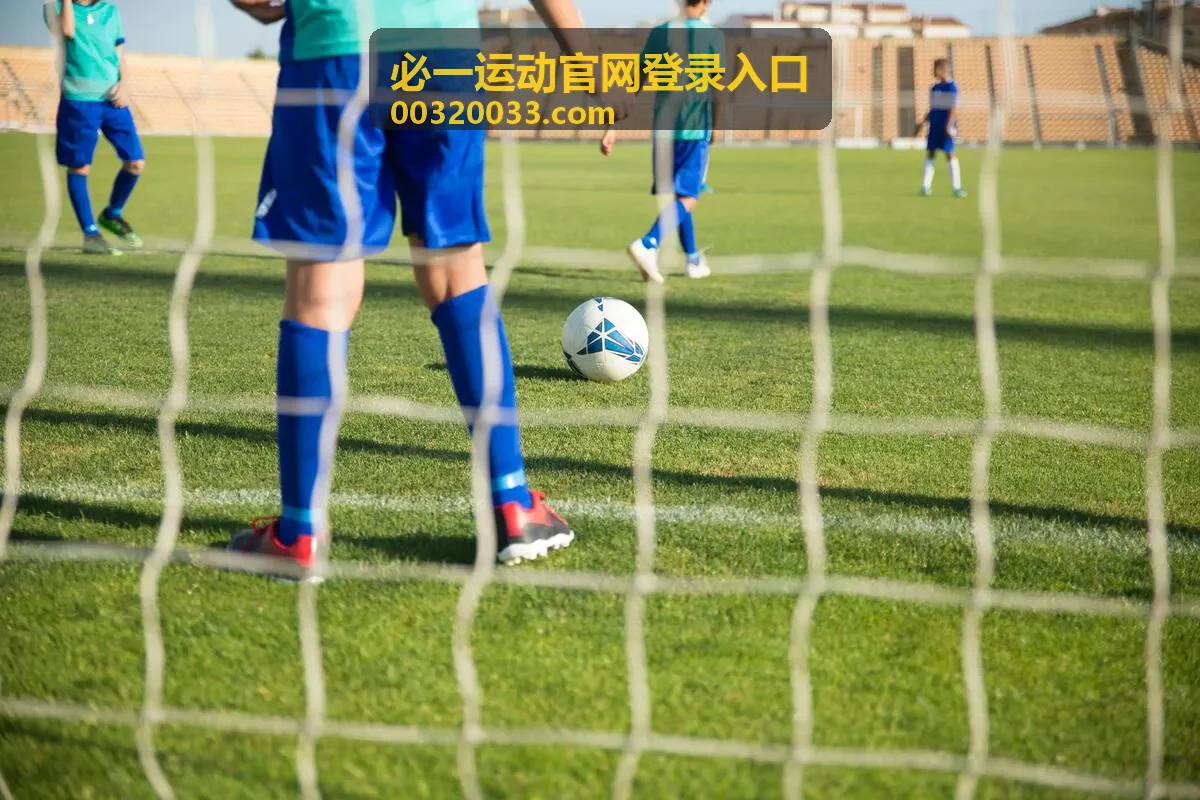 必一运动官网登录入口在手机端登录的界面示意